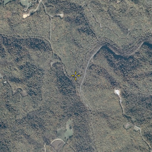 Aerial/Satellite Image of Bad Branch, VA