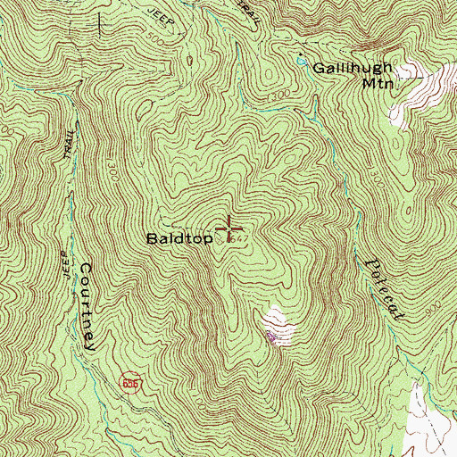 Topographic Map of Baldtop, VA