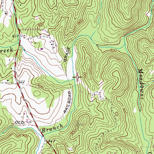 Topographic Map of Bassett Branch, VA