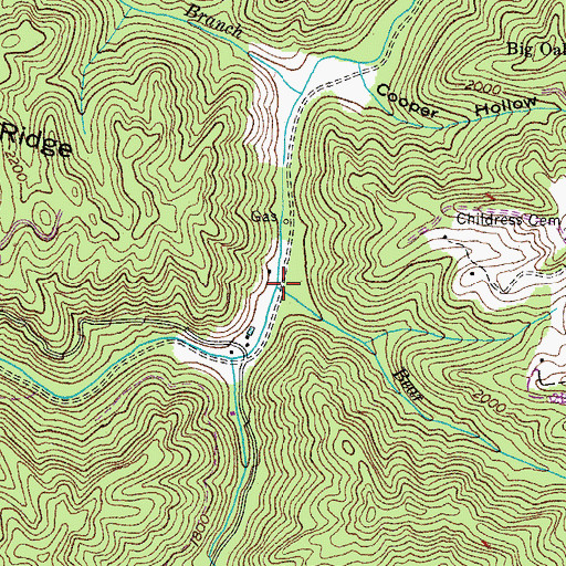 Topographic Map of Bear Branch, VA