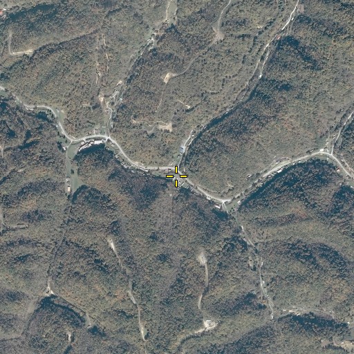Aerial/Satellite Image of Bear Branch, VA