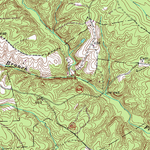 Topographic Map of Bear Branch, VA