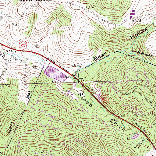 Topographic Map of Bear Hollow, VA