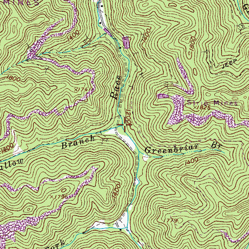 Topographic Map of Bearwallow Branch, VA