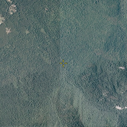 Aerial/Satellite Image of Bearwallow Run, VA