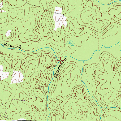 Topographic Map of Beaver Branch, VA