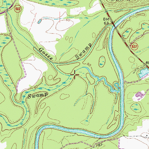 Topographic Map of Beaver Pond Swamp, VA