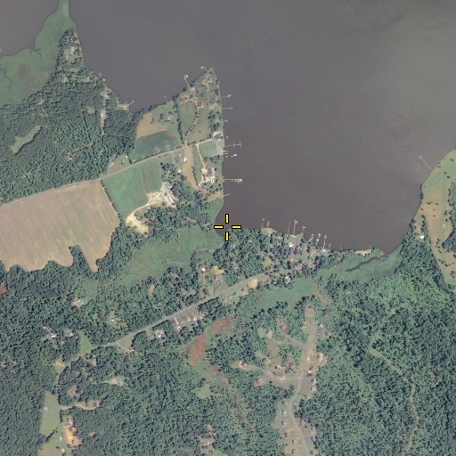Aerial/Satellite Image of Beaverdam Run, VA