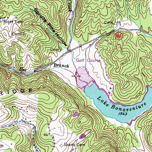 Topographic Map of Bee Branch, VA