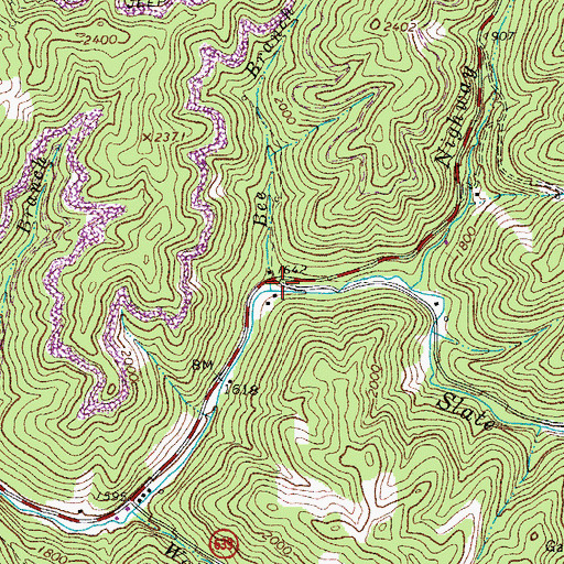 Topographic Map of Bee Branch, VA