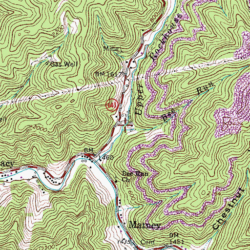 Topographic Map of Bee Run, VA