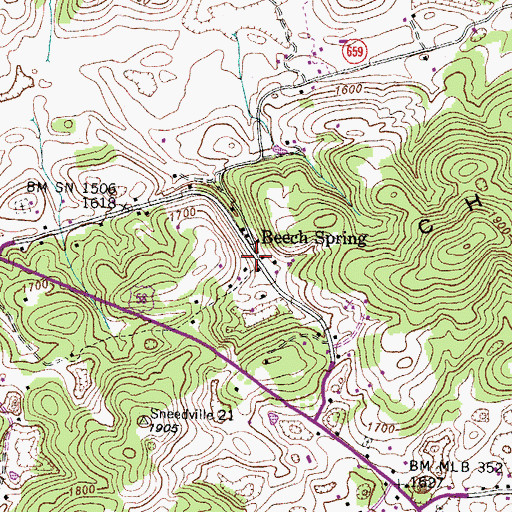 Topographic Map of Beech Spring, VA