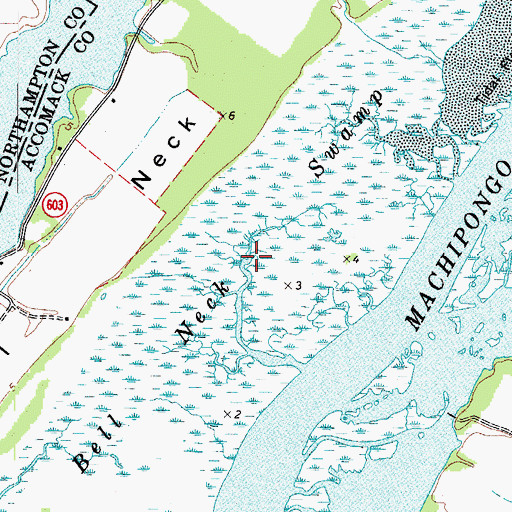 Topographic Map of Bell Neck Swamp, VA