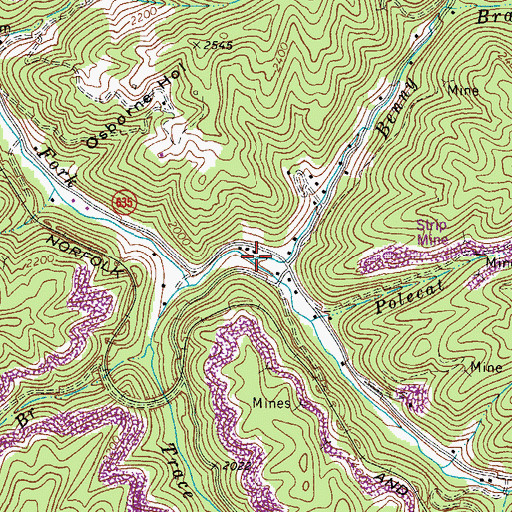 Topographic Map of Benny Branch, VA