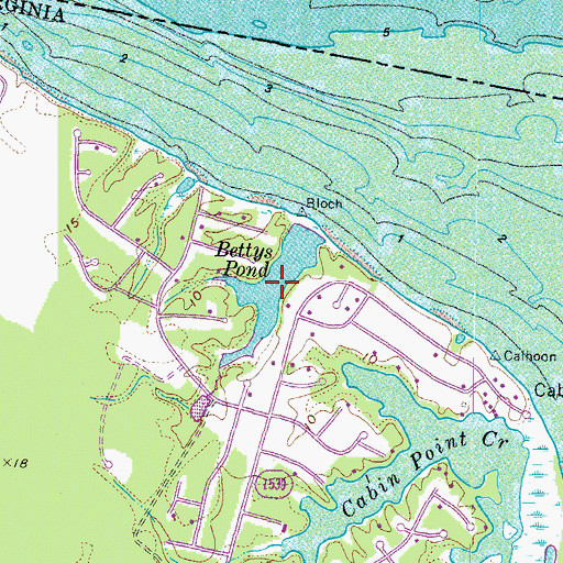 Topographic Map of Bettys Pond, VA