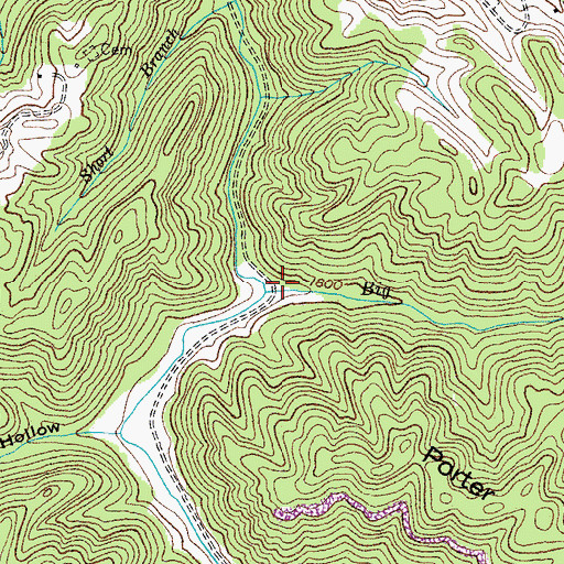 Topographic Map of Big Branch, VA