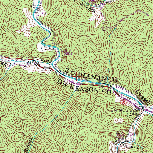 Topographic Map of Big Branch, VA