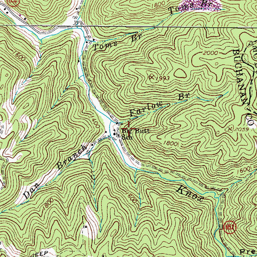 Topographic Map of Big Butt School, VA