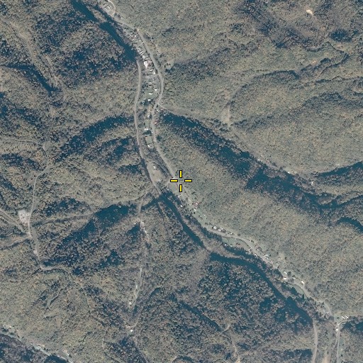Aerial/Satellite Image of Big Fork, VA