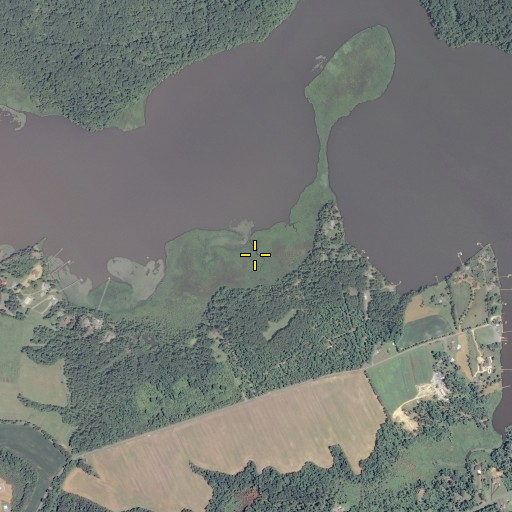 Aerial/Satellite Image of Big Marsh, VA