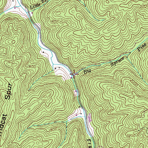 Topographic Map of Big Spruce Pine Branch, VA