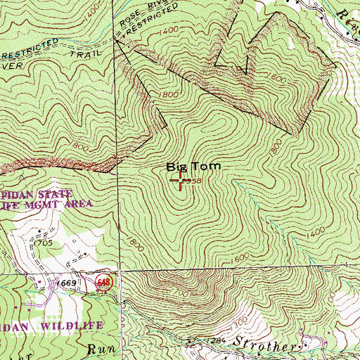Topographic Map of Big Tom, VA