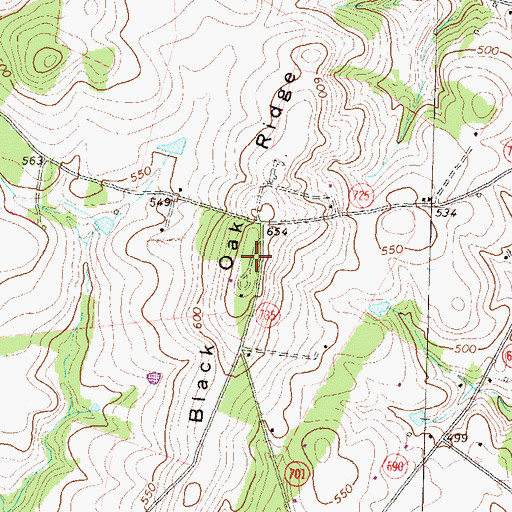 Topographic Map of Black Oak Ridge, VA