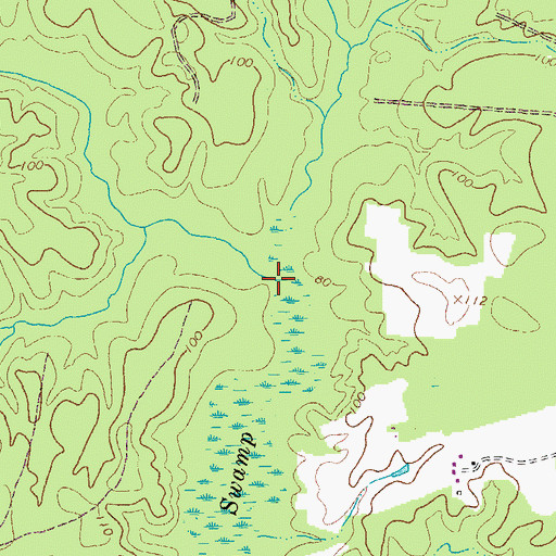 Topographic Map of Black Swamp, VA