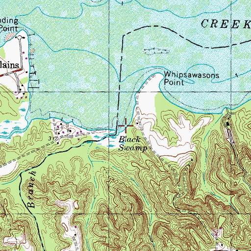 Topographic Map of Black Swamp Branch, VA