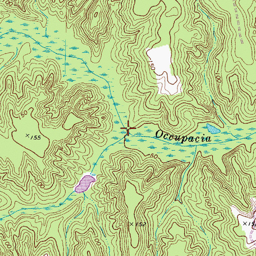 Topographic Map of Black Water Swamp, VA