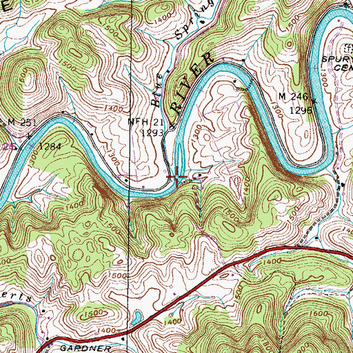 Topographic Map of Blue Springs Branch, VA