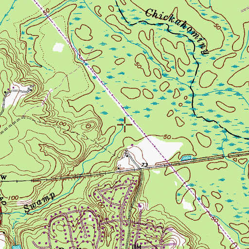 Topographic Map of Boar Swamp, VA
