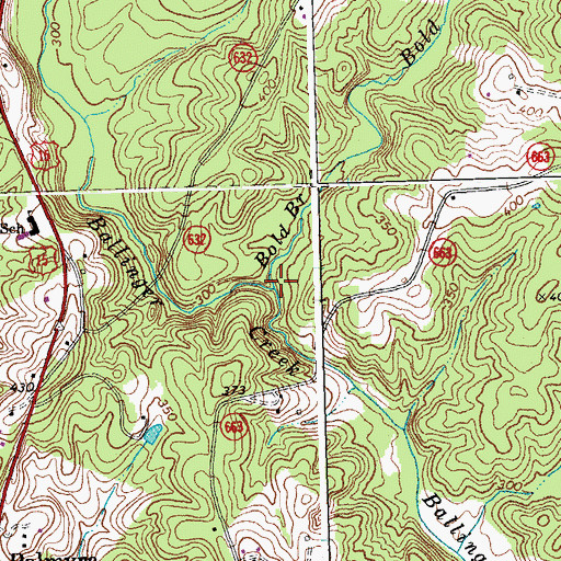 Topographic Map of Bold Branch, VA