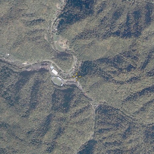 Aerial/Satellite Image of Booth Branch, VA
