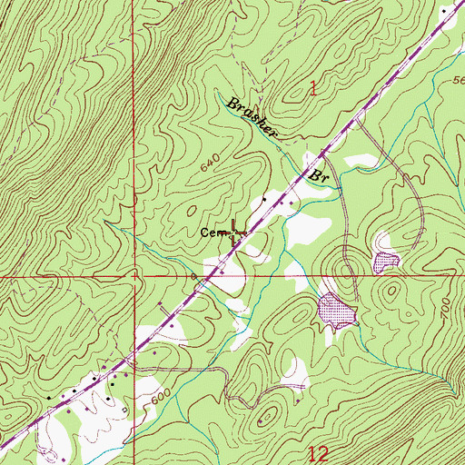 Topographic Map of Brasher Cemetery, AL