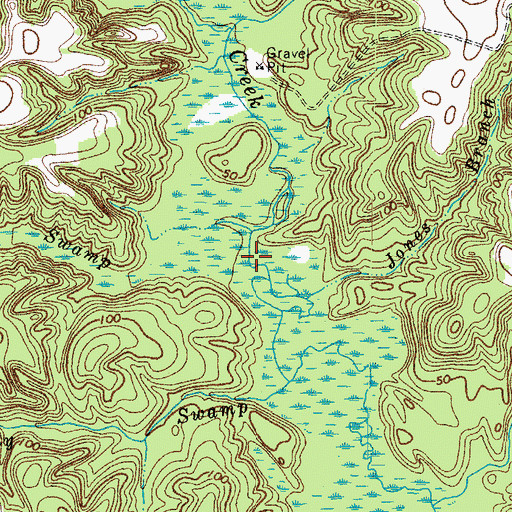 Topographic Map of Bowen Swamp, VA