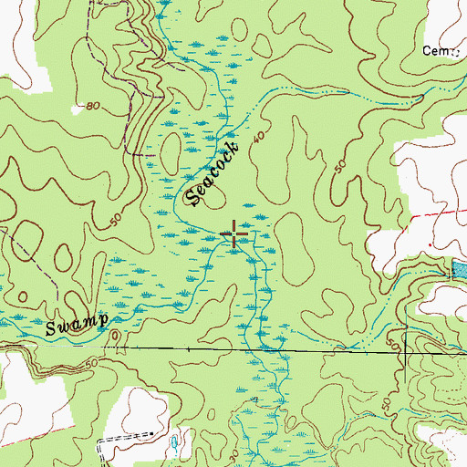 Topographic Map of Brantley Swamp, VA