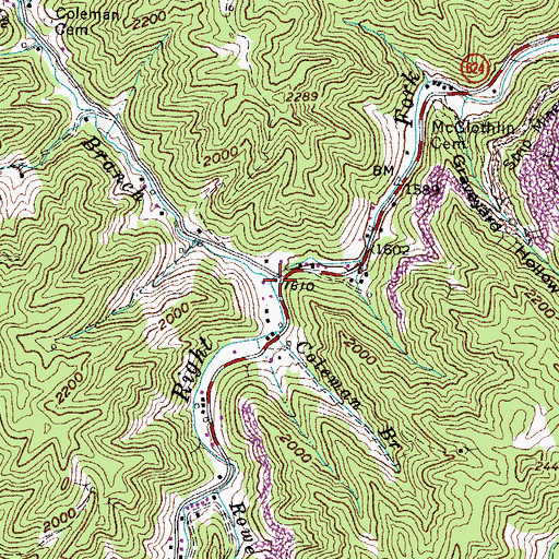 Topographic Map of Breeden Branch, VA