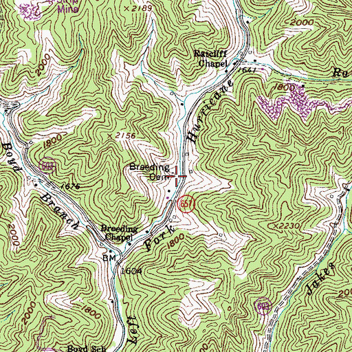 Topographic Map of Breeding Cemetery, VA