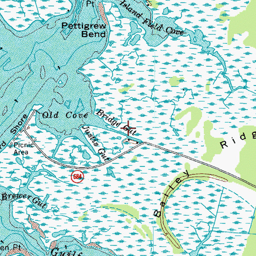 Topographic Map of Bridge Gut, VA
