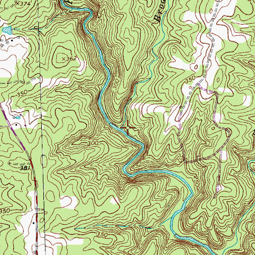 Topographic Map of Broad Branch, VA