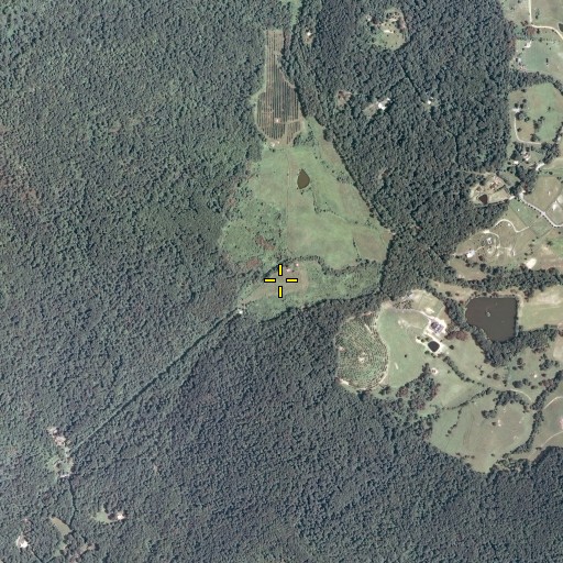 Aerial/Satellite Image of Broad Hollow, VA