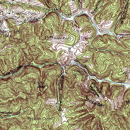 Topographic Map of Browder Hollow, VA