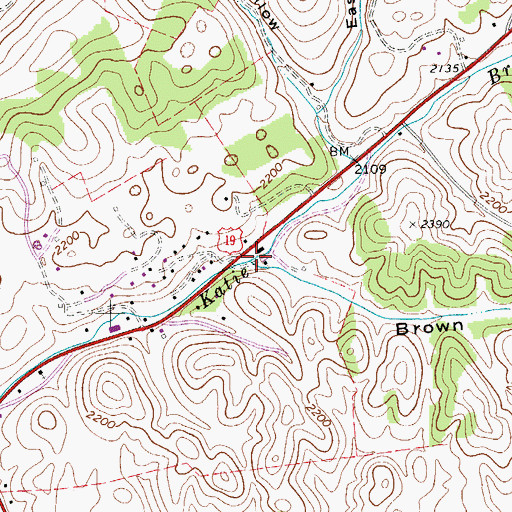 Topographic Map of Brown Hollow, VA