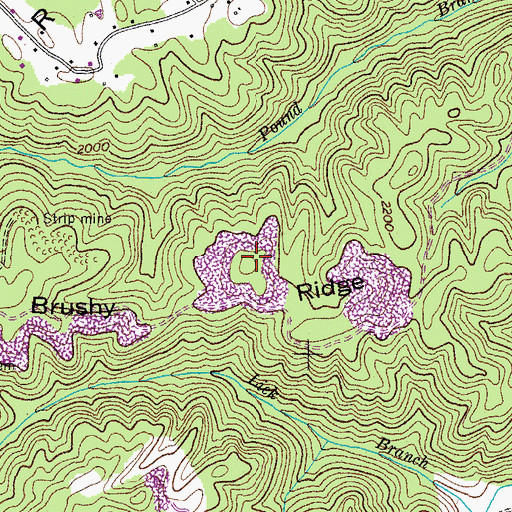 Topographic Map of Brushy Ridge, VA