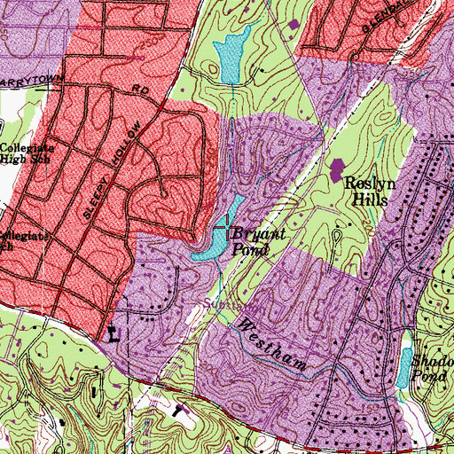 Topographic Map of Bryant Pond, VA