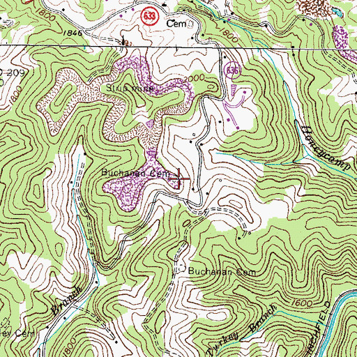 Topographic Map of Buchanan Cemetery, VA