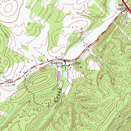 Topographic Map of Bucher Run, VA