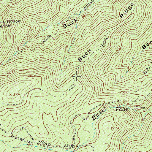 Topographic Map of Buck Ridge, VA