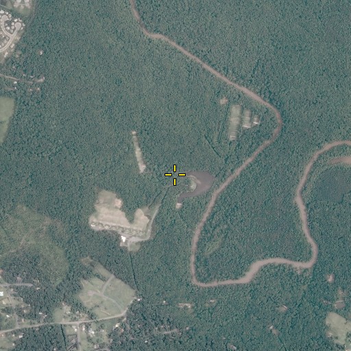 Aerial/Satellite Image of Buckhall Branch, VA